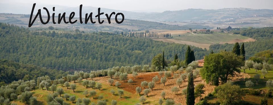WineIntro banner with landscape
