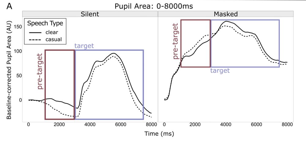 Plots showing the pupillary response over time. The baseline corrected pupillary response (pupil area) is plotted in arbitrary
units along the y axis. Time, in msec, is indicated along the x axis, with the 0 timepoint indicating the start of the 3000 msec silent period or masked period before target sentence onset. The pupil trace concludes 8000 msec later. The lefthand plot is the aggregate for all silent trials while the righthand window is the aggregate for all masked trials. Solid lines correspond to pupil responses to clearly spoken sentences and dashed lines to casually spoken sentences. Drawn windows show where the pre-target windows (red boxes; analyzed post hoc) and the target sentence (purple boxes) windows fit in the larger pupillary response.
