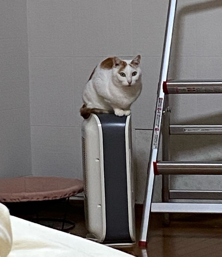 ちょうど良い高さなのかも