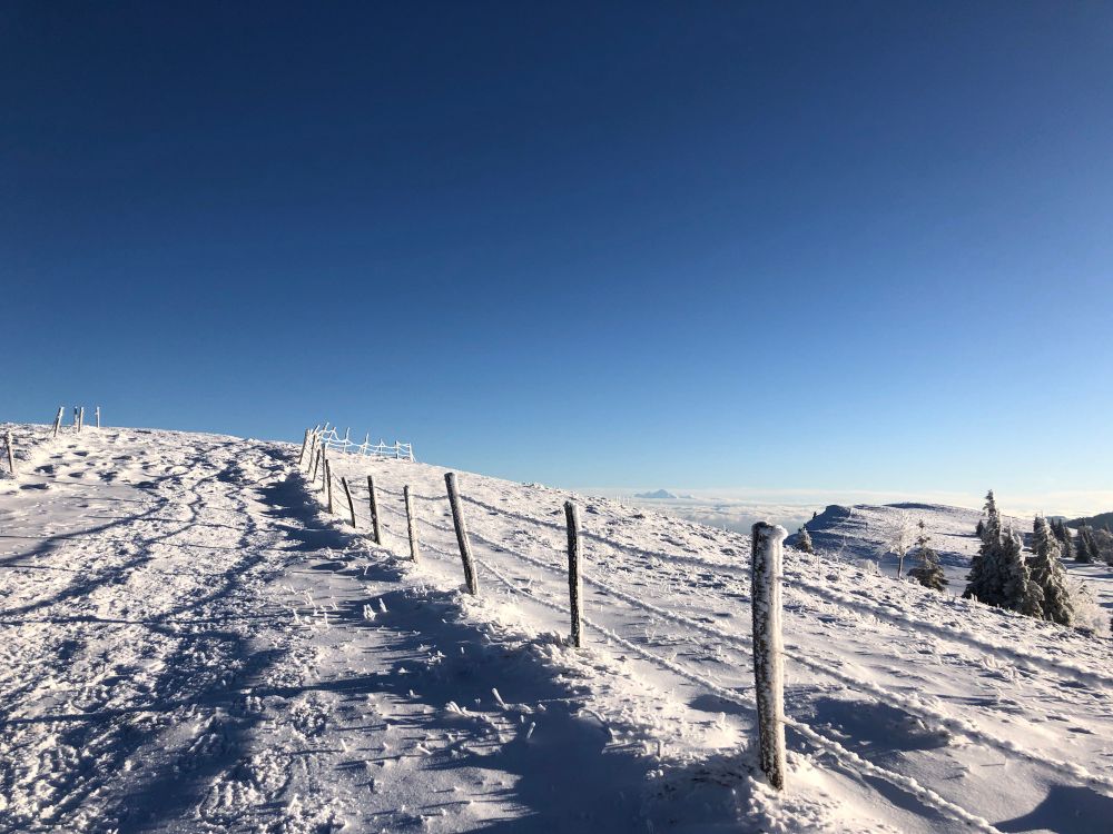 Mont d’Or et Mont Blanc au loin 