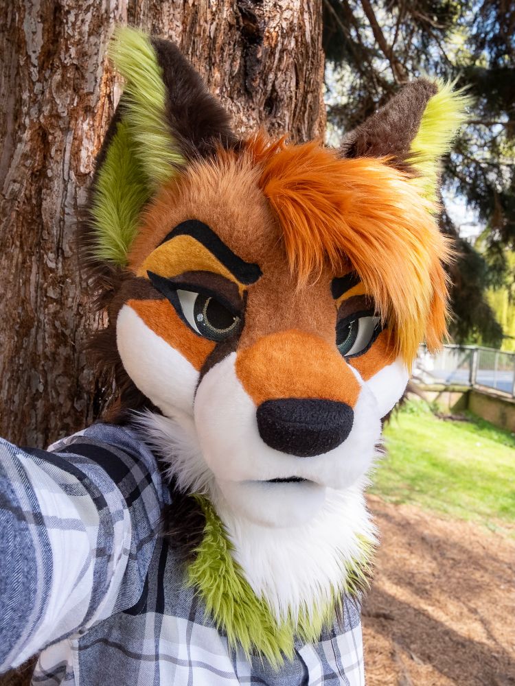 A fox under a tree that is looking directly at you. 