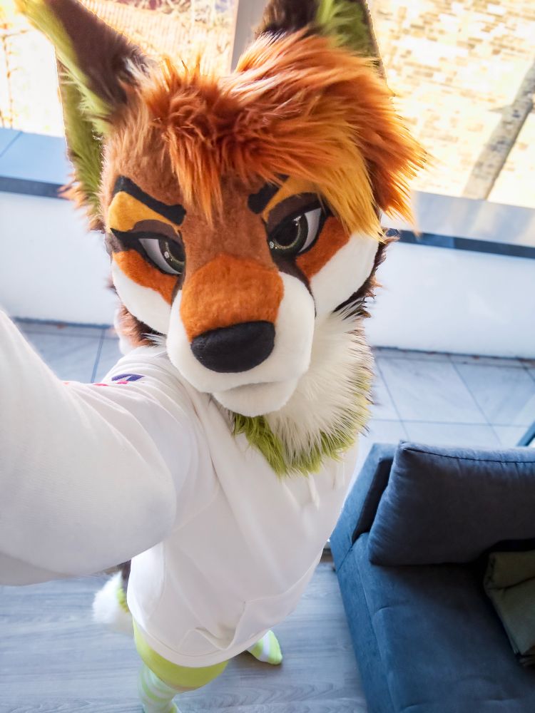 A selfie of a fox wearing thigh-highs and short-shorts in front of a sofa, asking the viewer if they wish to snuggle together. 