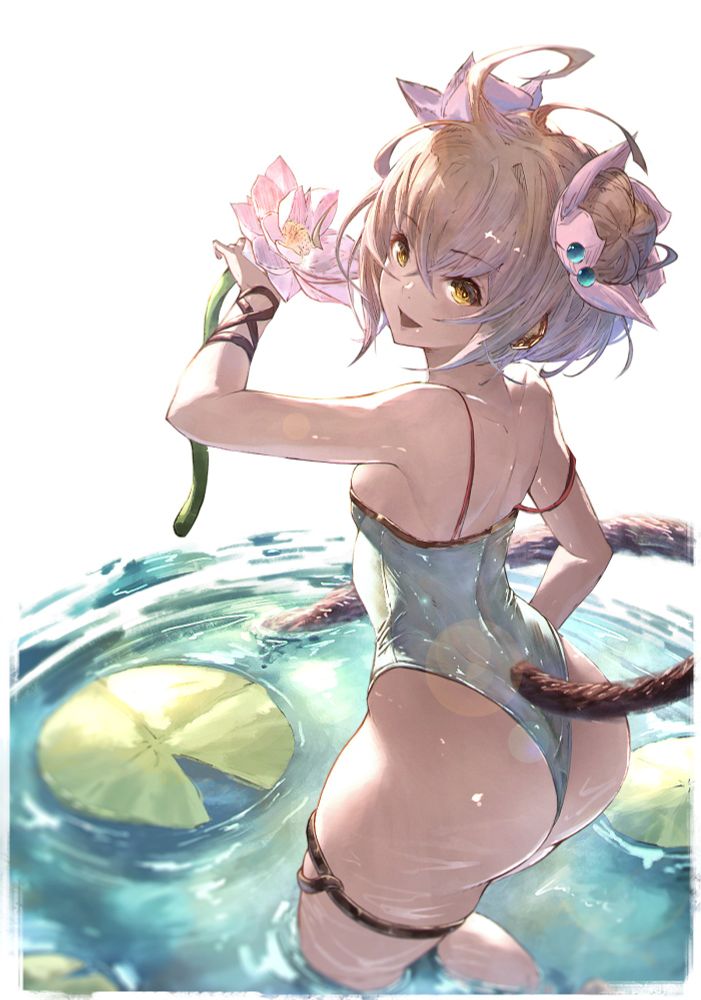 Andira　アンチラ