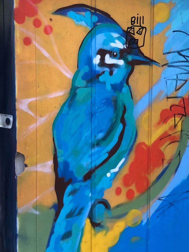 A blue jay bird is painted on the side of a shed on a gold and red backgound. It’s head is turned to the right showing it’s crest in profile.