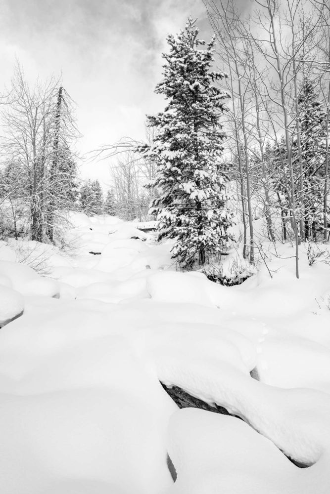 Taggart Creek, completely covered in snow in the winter.