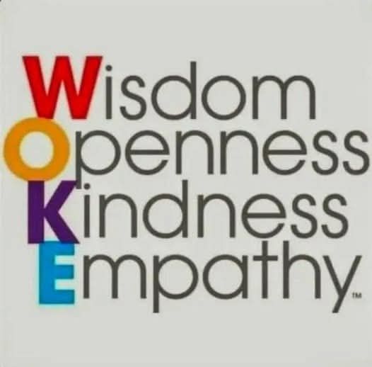 screenshot of words - acrostic of WOKE Wisdom Openness Kindness Empathy 