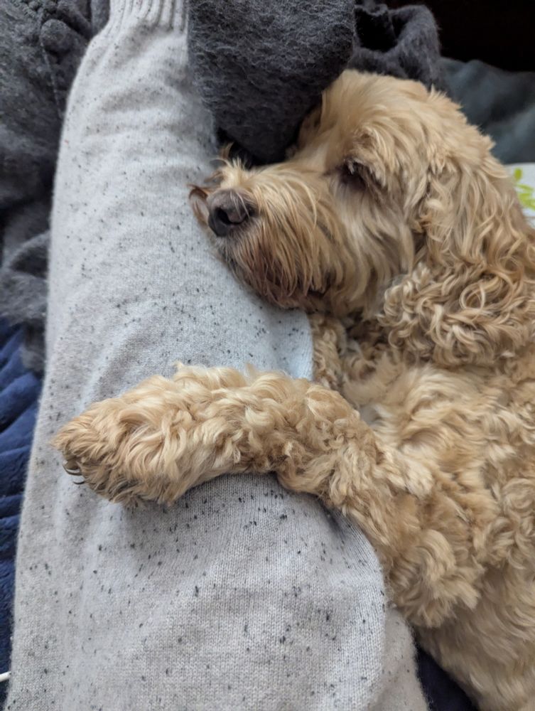 Nurse Patti helping with my twisted ankle. 