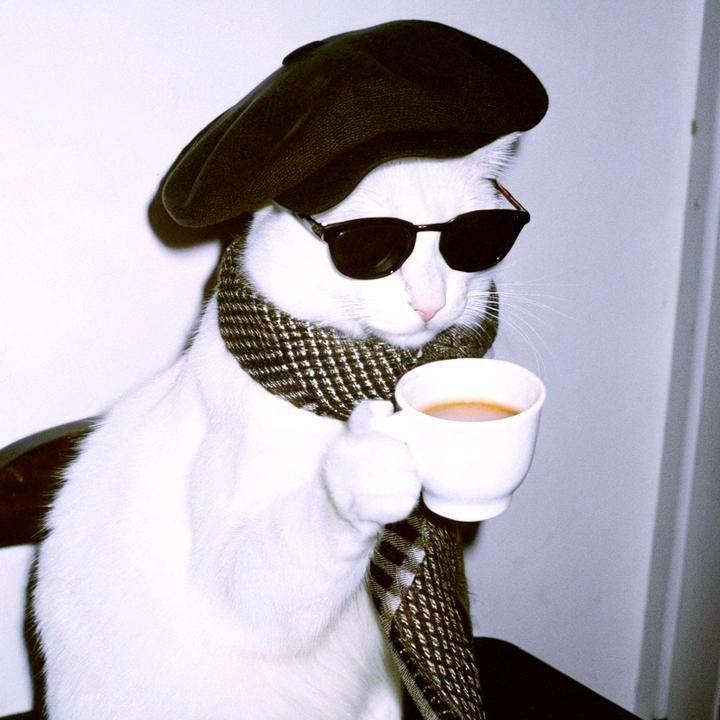 Foto editada de um gato com óculos escuro, boina francesa e uma gravata preta com dourado segurando uma xícara com café.