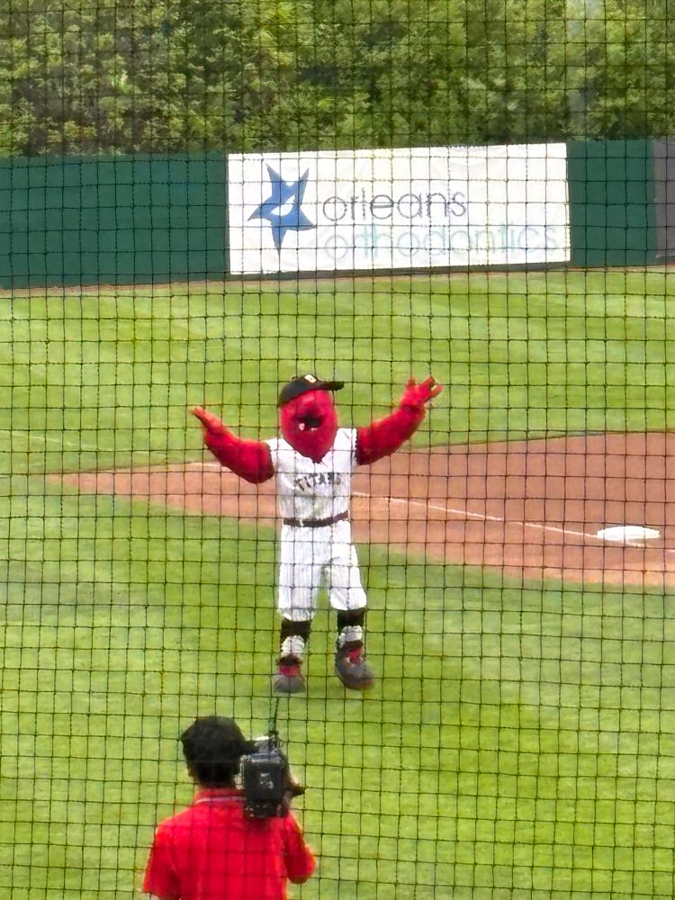 cappy, the ottawa titans mascot, on the baseball field