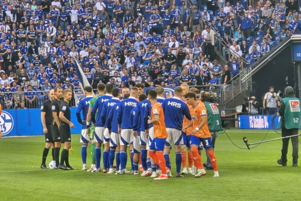 Wahnsinn auf Schalke: Darmstadt dreht 0:3 - Lilienblog