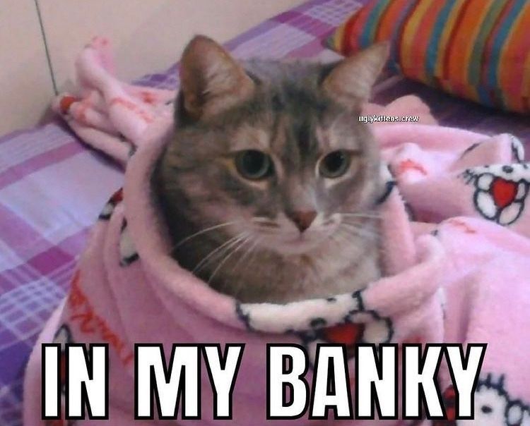A cat wrapped up in a pink Hello Kitty blanket. Text at the bottom reads "IN MY BANKY".
