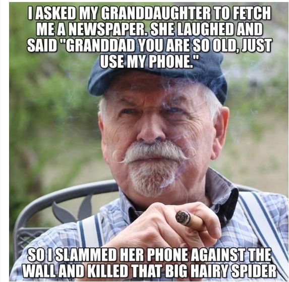 An old, bearded, Caucasian male smoking a cigar outside while looking into the distance with the words: I asked my granddaughter to fetch me a newspaper. She laughed and said "grandad you are so old, just use my phone." So I slammed her phone against the wall and killed that big hairy spider