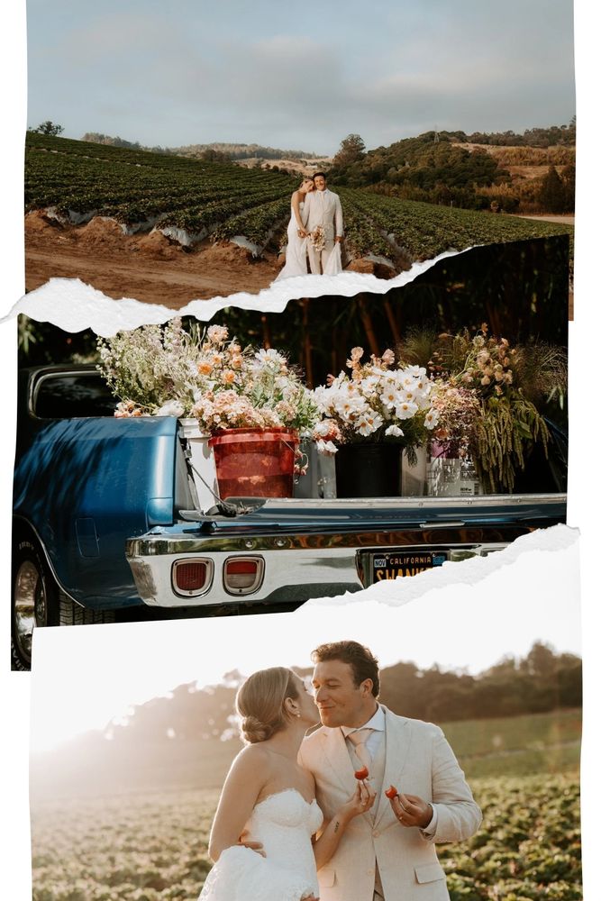 Santa Cruz wedding photographer, brothers ranch wedding