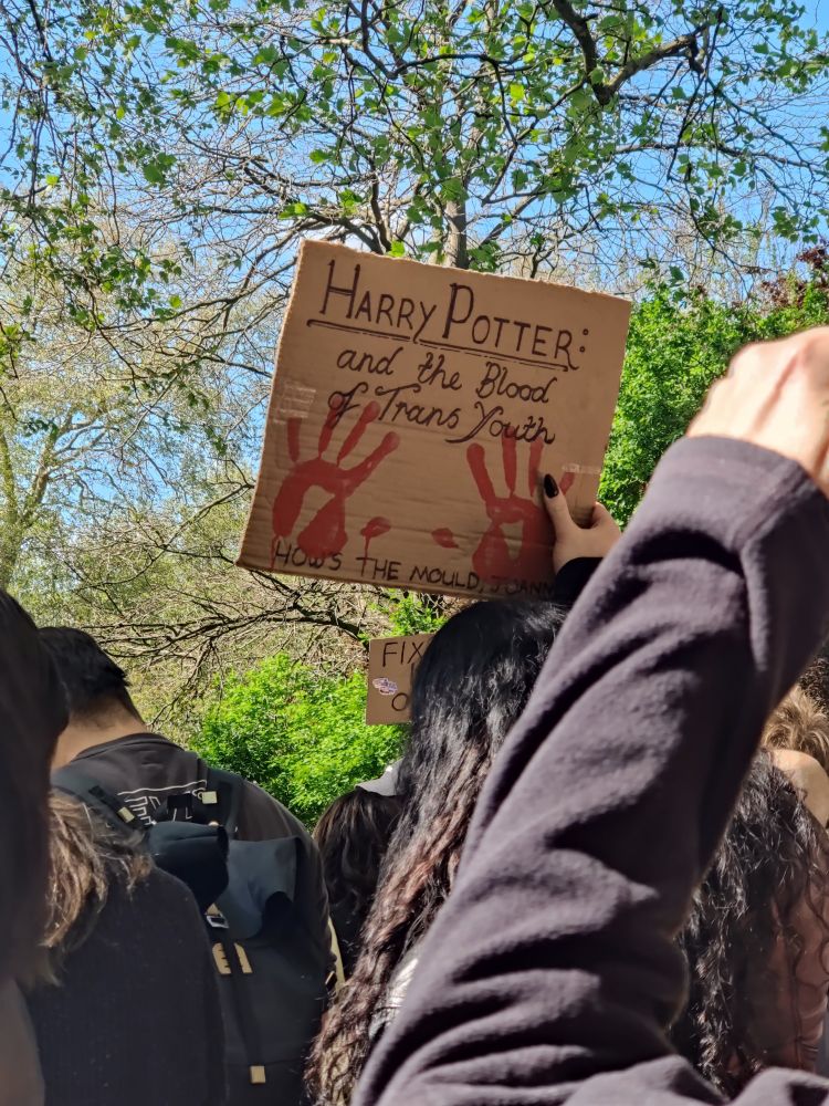 A protest sign reading "Harry Potter and the Blood of Trans Youth" with 2 bloody handprints and underneath "How's the mould Joanne?"