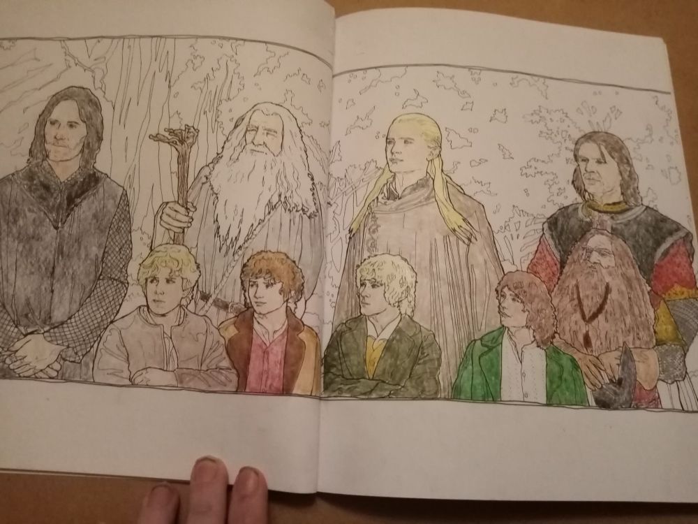 The fellowship from lotr colouring book