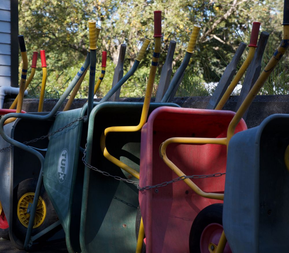 A neatly arranged lineup of colorful wheelbarrows, chained together, waiting to be used. Their vibrant red, green, and yellow handles stand out against the muted background, creating a strong visual pattern.