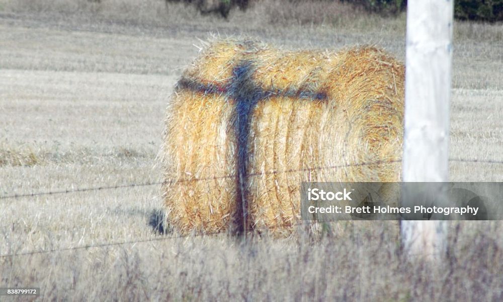 Hay bale with a shadow of a cross cast on it by a telephone pole. 