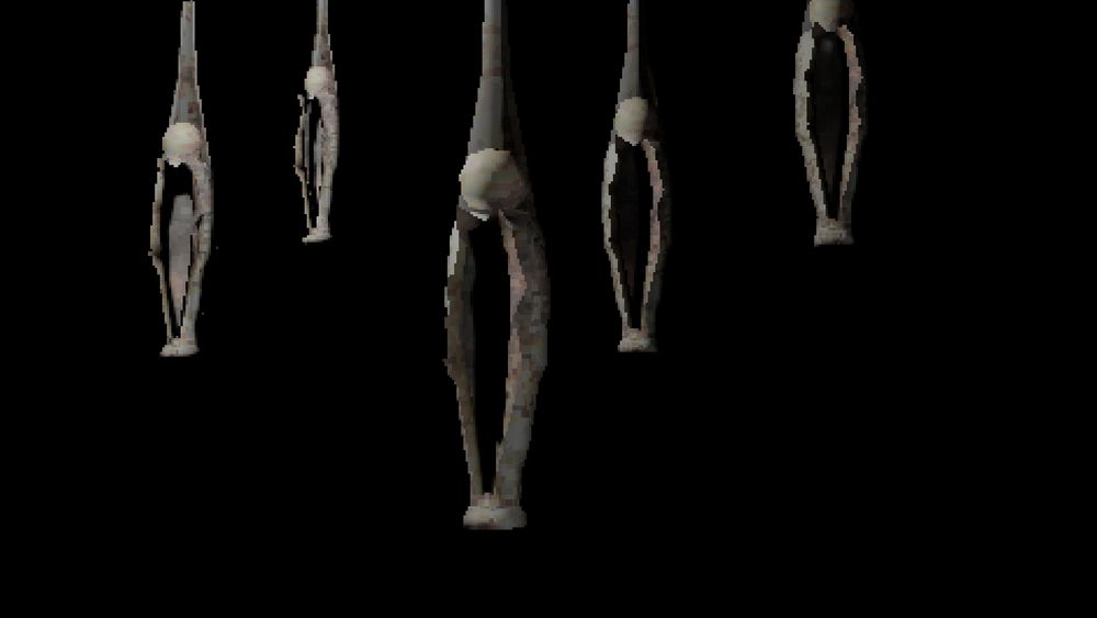 Hanging person shaped cocoons that are empty 
