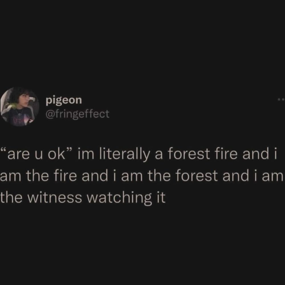 @fringeffect on x

"are u ok" i'm literally a forest fire and i am the fire and i am the forest and i am the witness watching it