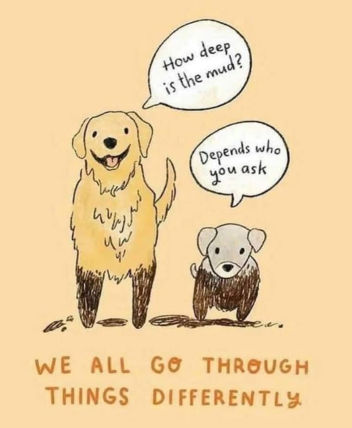 golden retriever 'how deep is the mud?' 
little dog responds 'depends who you ask'

we all go through things differently