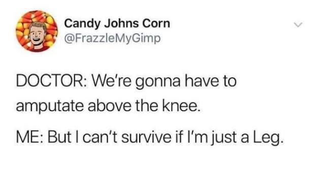 @frazzlemygimp on x DOCTOR: We're gonna have to amputate above the knee. ME: But I can't survive if I'm just a Leg.
