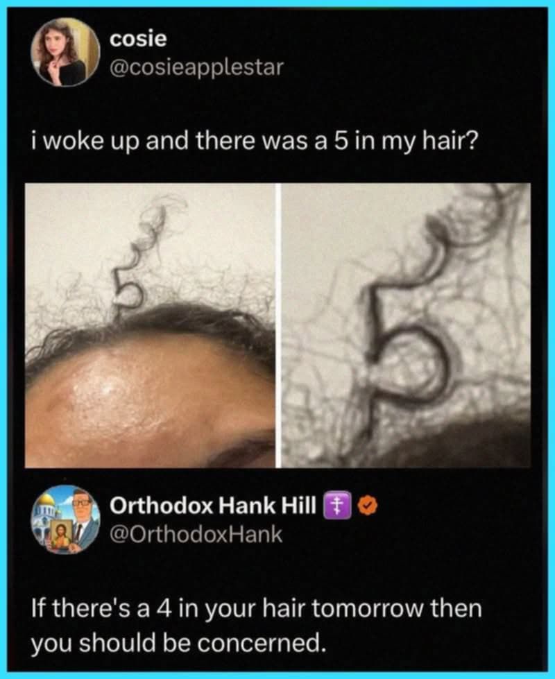 @cosieapplestar
woke up and there was a a 5in 5 in my hair?

[pic of her hair shaped as a perfect #5

@OrthodoxHank replies

If there's a 4 in your hair tomorrow then you should be concerned.

