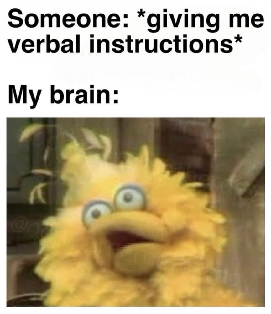 Someone: *giving me verbal instructions* My brain: [big bird looking like he is malfunctioning]