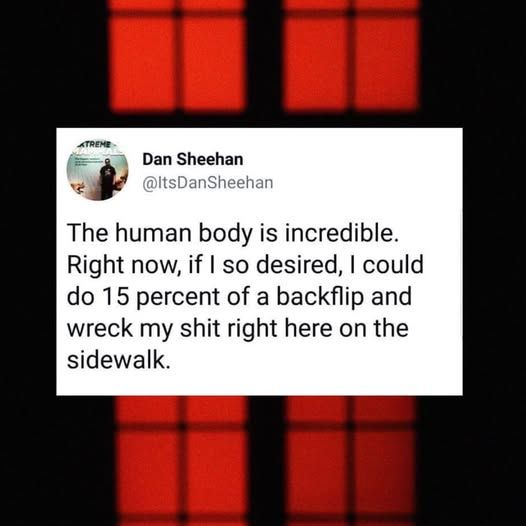 @ItsDanSheehan The human body is incredible. Right now, if so desired, I could do 15 percent of a backflip and wreck my shit right here on the sidewalk