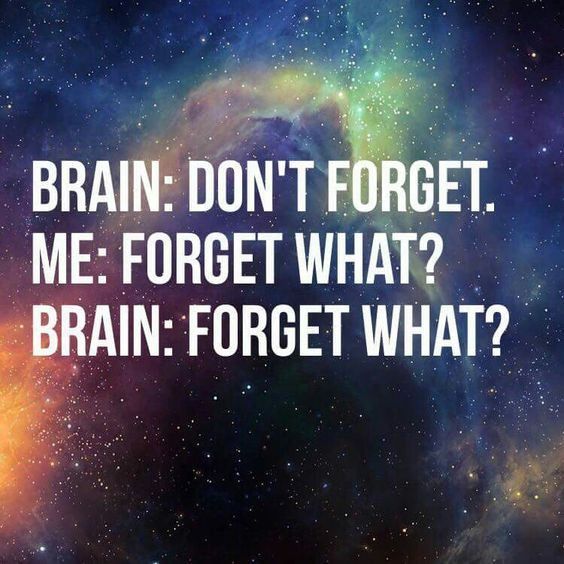 brain: don't forget.
me: forget what?
brain: forget what?