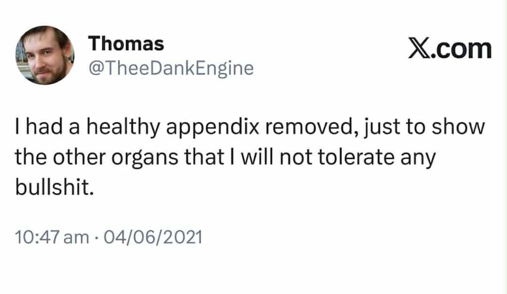 @TheeDankEngine on x

i had a healthy appendix removed, just 2 show other organs that i will not tolerate any bullshit