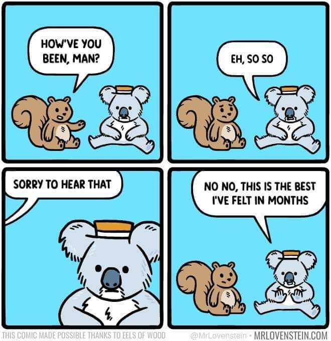 square one: squirrel asks koala "how've you been, man?"
square two: koala answers "eh, so so"
square three: off screen squirrel says "sorry to hear that"
Square four: koala says back "no no, this is the best I've felt in months"