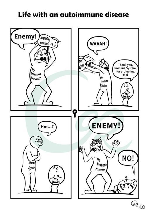 Life with an autoimmune disease
4 frames
1st frame: A creature (my immune system) is about to throw another creature (anything harmful). Screams "Enemy!"
2nd frame: The creature (my immune system) finishes throwing the anything harmful creature. Another creature called (my body) says "Thank you, immune system, for protecting me"
3rd fame: The immune system looks at my body and says "Hm...?"
4th frame: The immune system attacks my body and screams "ENEMY!" while my body screams "No!"