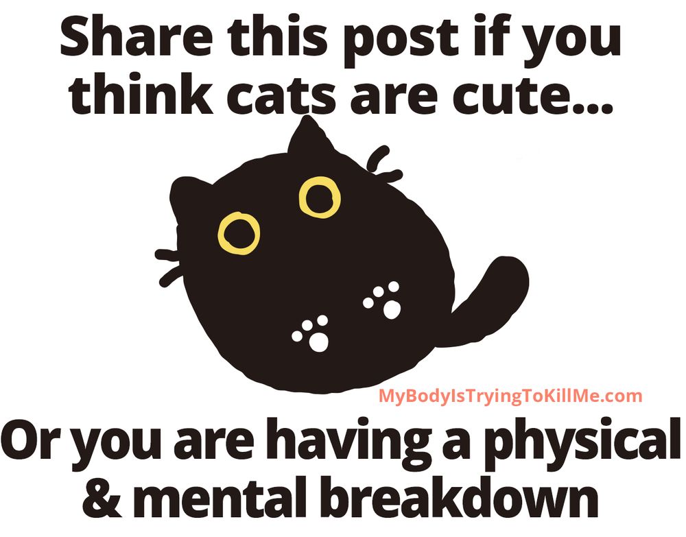 share this post if you think cats are cute...

[pic of cutie pie cat]

or you are having a physical & mental breakdown
