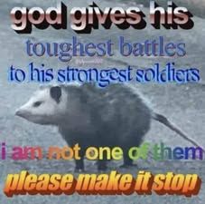 god gives his toughest battles to his strongest soldiers 

[pic of opossum]

I am not one of them
please make it stop