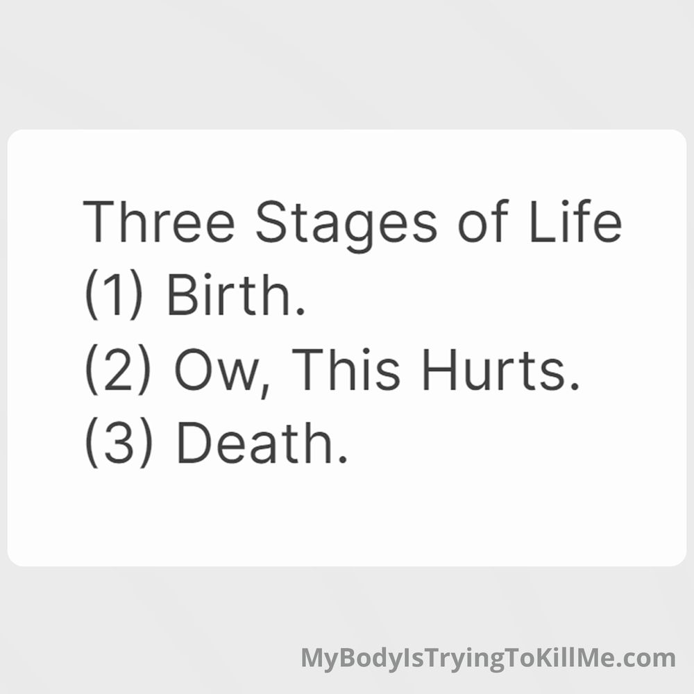 three stages of life (1) birth. (2) ow, this hurts. (3) Death.