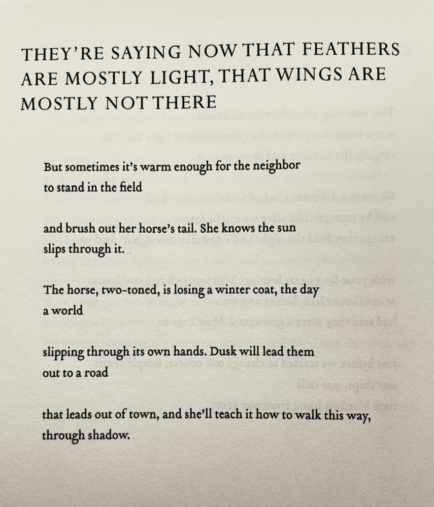 THEY'RE SAYING NOW THAT FEATHERS ARE MOSTLY LIGHT, THAT WINGS ARE MOSTLY NOT THERE

But sometimes it's warm enough for the neighbor to stand in the field
and brush out her horse's tail. She knows the sun slips through it.
The horse, two-toned, is losing a winter coat, the day a world
slipping through its own hands. Dusk will lead them out to a road
that leads out of town, and she'll teach it how to walk this way, through shadow.