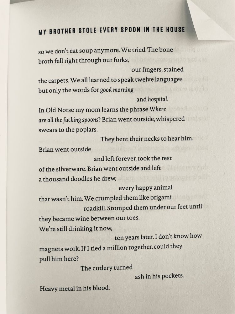 MY BROTHER STOLE EVERY SPOON IN THE HOUSE

so we don't eat soup anymore. We tried. The bone broth fell right through our forks,
our fingers, stained
the carpets. We all learned to speak twelve languages but only the words for good morning and hospital.
In Old Norse my mom learns the phrase Where are all the fucking spoons? Brian went outside, whispered swears to the poplars.
They bent their necks to hear him.
Brian went outside and left forever, took the rest
of the silverware. Brian went outside and left a thousand doodles he drew,
every happy animal
that wasn't him. We crumpled them like origami
roadkill. Stomped them under our feet until
they became wine between our toes.
We're still drinking it now,
ten years later. I don't know how
magnets work. If I tied a million together, could they pull him here?
The cutlery turned
ash in his pockets.
Heavy metal in his blood.