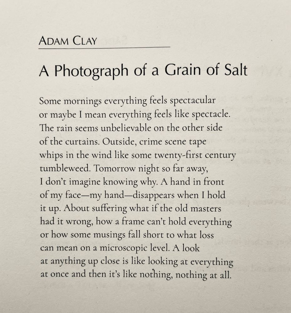 ADAM CLAY

A Photograph of a Grain of Salt

Some mornings everything feels spectacular or maybe I mean everything feels like spectacle. The rain seems unbelievable on the other side of the curtains. Outside, crime scene tape whips in the wind like some twenty-first century tumbleweed. Tomorrow night so far away, I don't imagine knowing why. A hand in front of my face—my hand-disappears when I hold it up. About suffering what if the old masters had it wrong, how a frame can't hold everything or how some musings fall short to what loss can mean on a microscopic level. A look at anything up close is like looking at everything at once and then it's like nothing, nothing at all.