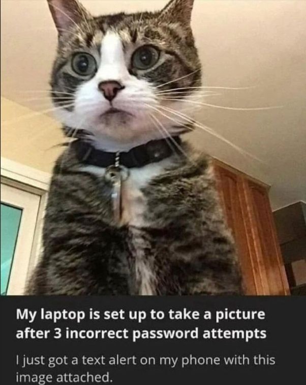 Comment image