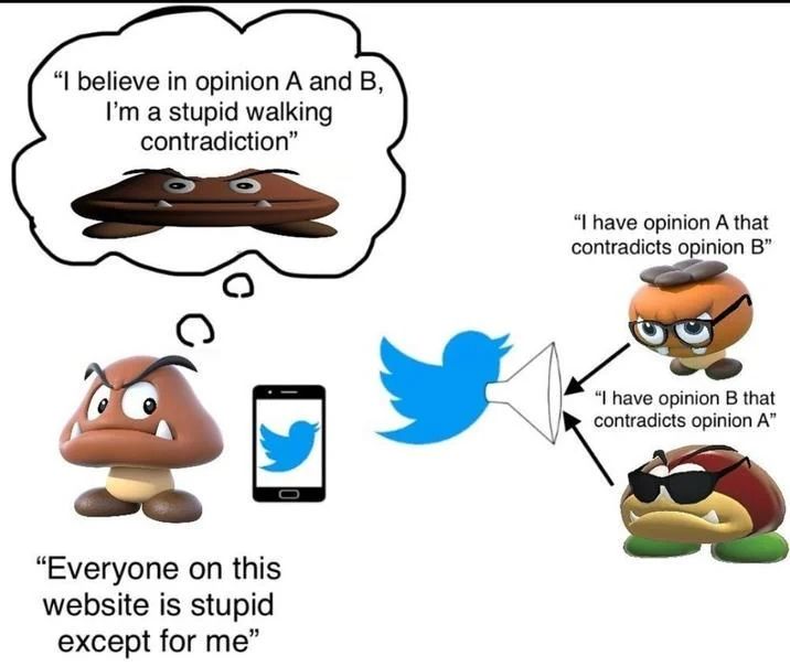 Weird Goomba 1: "I have opinion A that contradicts opinion B"
Galoomba: "I have opinion B that contradicts opinion A"

These opinions are filtered through social media, which gives Goomba the impression that both of these people represent a single stance, that they believe both opinion A and B. This makes Goomba say "Everyone on this wensoye is stupid except for me"