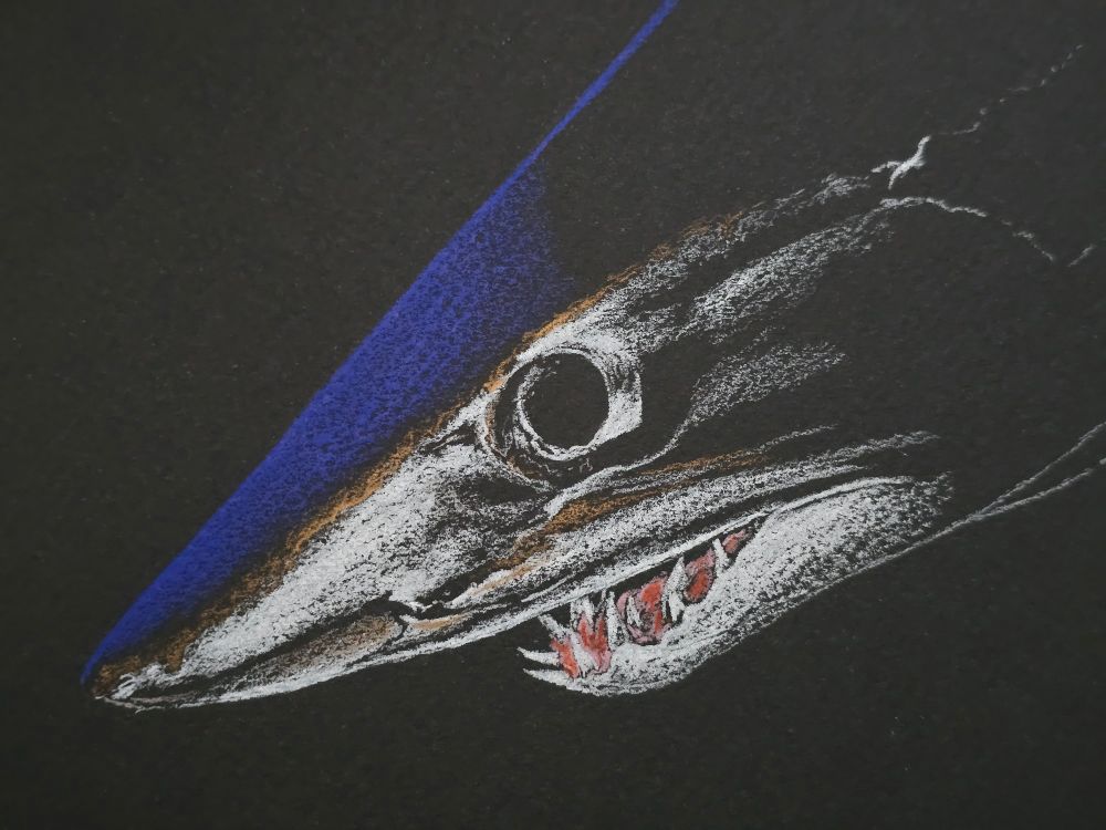 Starting to add color to the head of the shark 