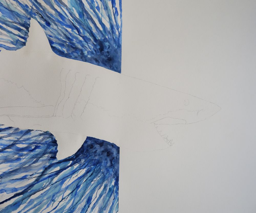 Background done, shark penciled in