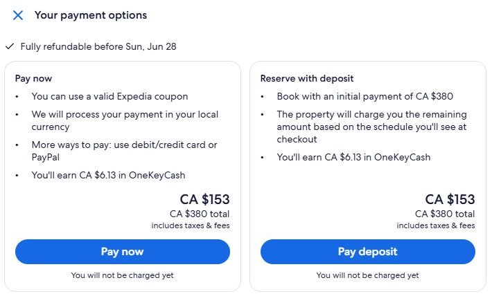 Screenshot of payment options for a hotel booking. Option 1 is pay now totaling $380. Option 2 is to reserve with a deposit of $380. Which is somehow different than the first option, I guess.