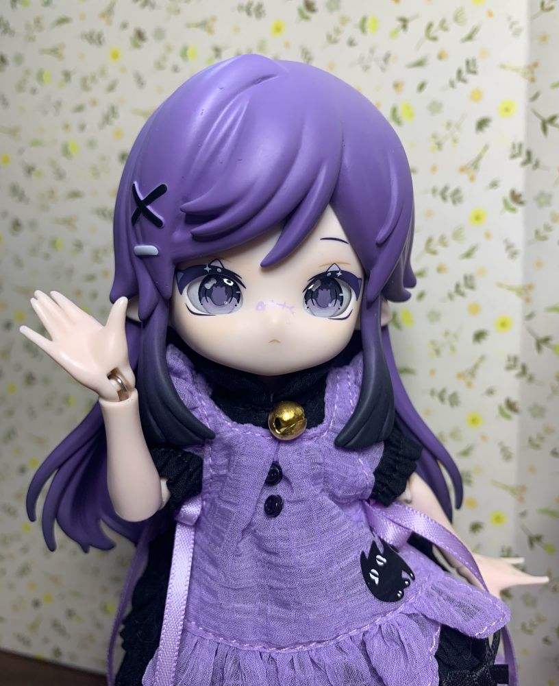 ブラインドドールの写真です
左の子