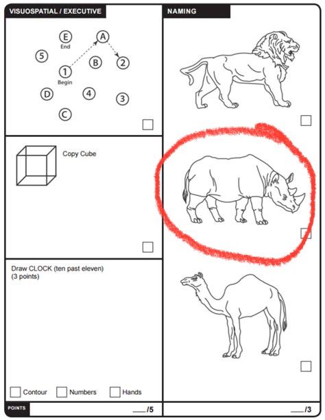 Screenshot of the cognitive test Trump claims to have taken. On the right hand side there are simple drawn images of a lion, a rhino, and a camel. The rhino is circled in red.