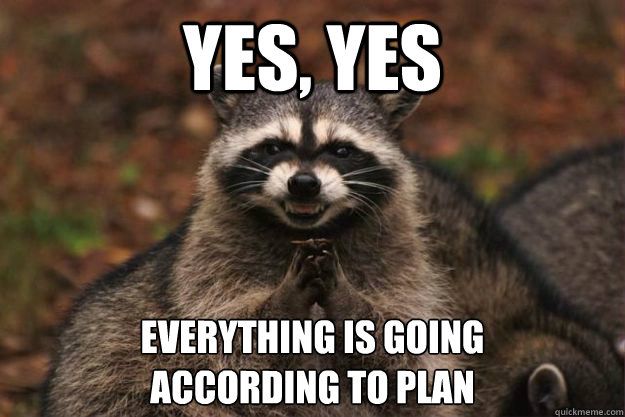 Photo of a Racoon grinning evilly, hands raised in front of it with fingers interlaced. Caption reads: Yes, yes. Everything is going according to plan