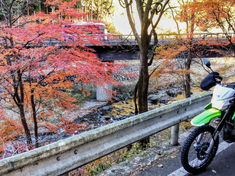 すっかり忘れていたが、秋は日が沈むとすんごく寒くなる、でも山は降りたから楽勝だ、その時はまだ埼玉の恐ろしさを忘れていたのだ
