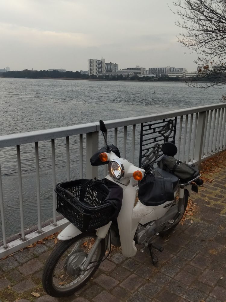 あと少し何かが欲しい谷津の名所