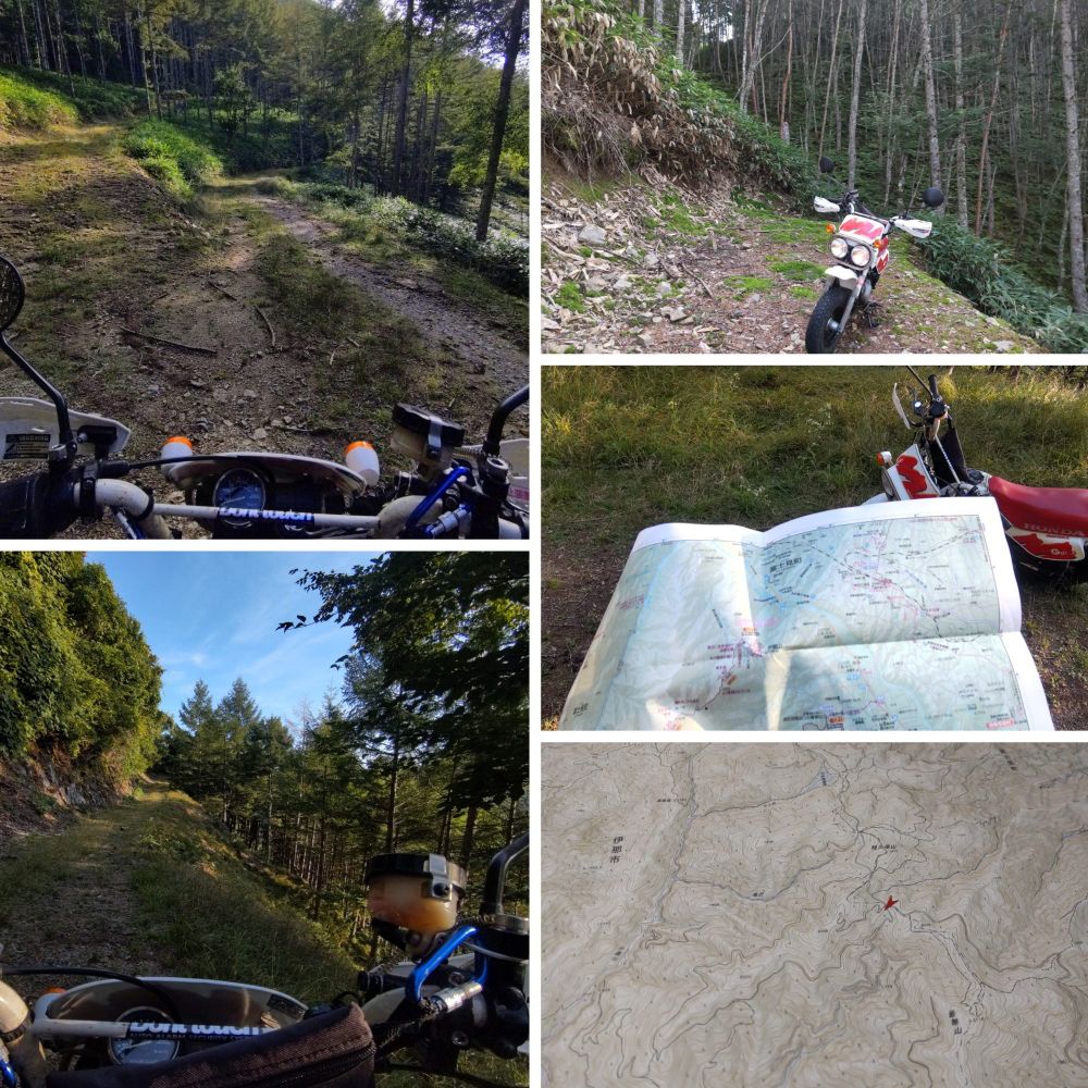 自己責任ワールド故に地名は自粛致しますの
赤い矢印が稜線から東へ下った地点、目的は山を越え長期通行止め林道を強行偵察ですの
