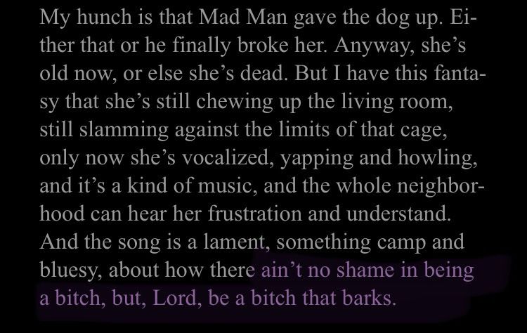 My hunch is that Mad Man gave the dog up. Either that or he finally broke her. Anyway, she's old now, or else she's dead. But I have this fantasy that she's still chewing up the living room, still slamming against the limits of that cage, only now she's vocalized, yapping and howling, and it's a kind of music, and the whole neighborhood can hear her frustration and understand.
And the song is a lament, something camp and bluesy, about how there ain't no shame in being a bitch, but, Lord, be a bitch that barks.
